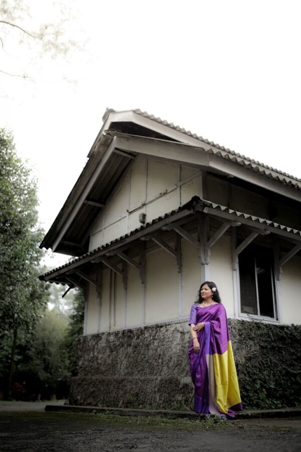 Amrapali - Image 2